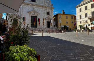 the pendulum senza link 