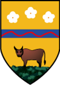 olivola olivola