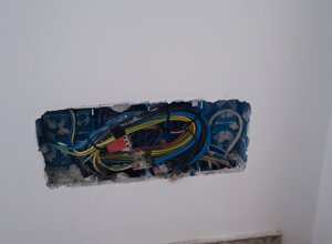 img_20250310_172253.jpeg