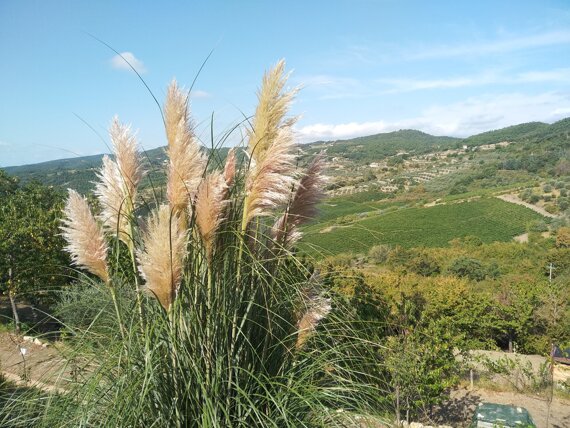 img_20200829_101935.jpeg
