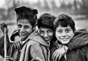 Amici