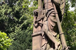 img_5215.jpeg img_5215.jpeg