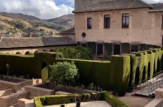 img_7195.jpeg