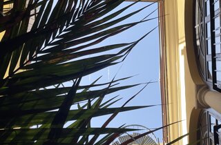 img_7326.jpeg