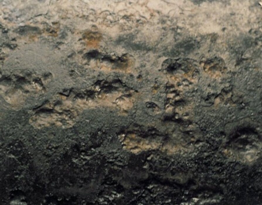 f925df3558632ac4fb189e03238b9487d156fae8