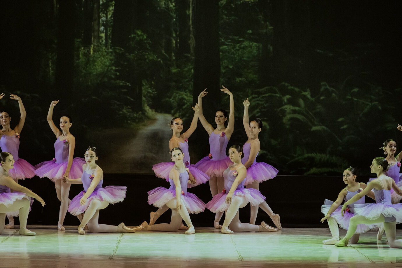 dsc00982.jpeg dsc00982.jpeg