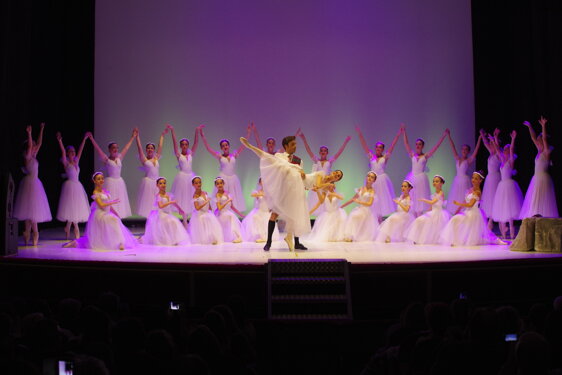 _img5990.jpeg _img5990.jpeg