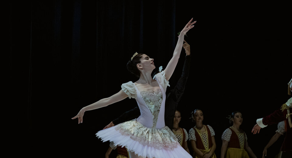 dsc09905.jpeg dsc09905.jpeg