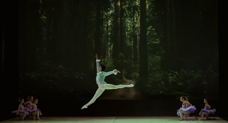 dsc00353.jpeg dsc00353.jpeg