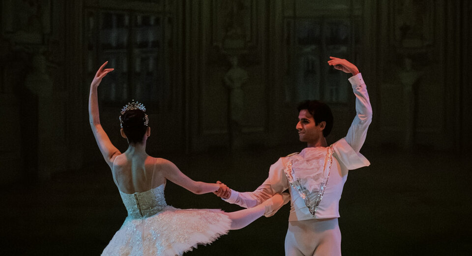 dsc00802.jpeg dsc00802.jpeg