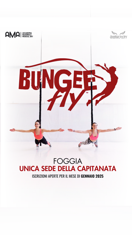 bungee fly