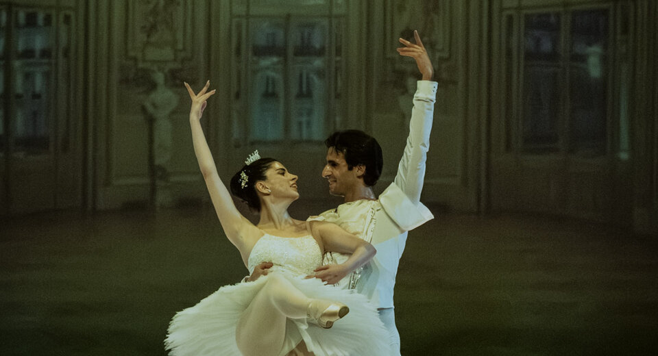 dsc00994.jpeg dsc00994.jpeg