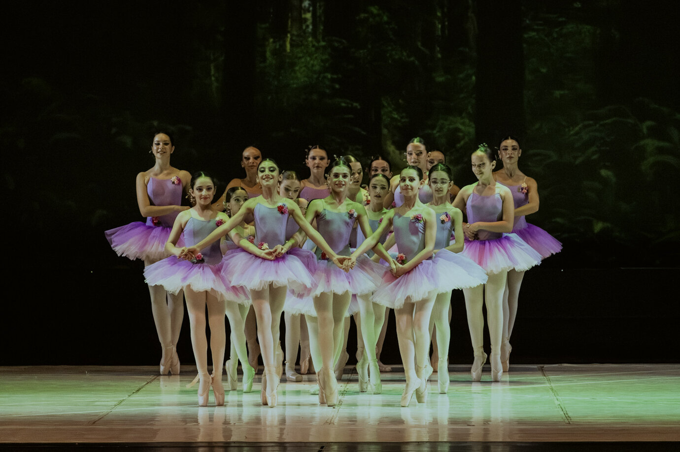 dsc01017.jpeg dsc01017.jpeg