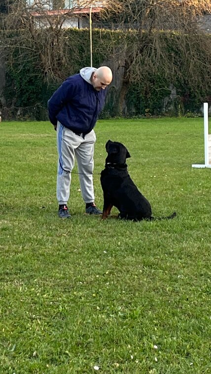 img_8954.jpeg img_8954.jpeg