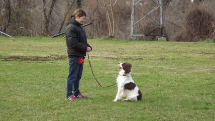 dscf0989.jpeg dscf0989.jpeg