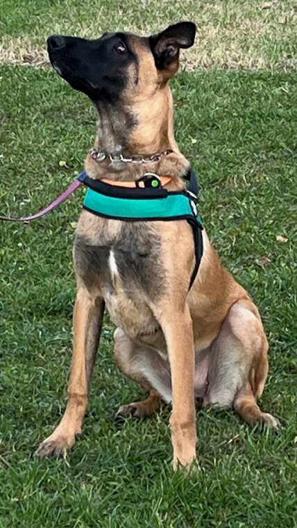 img_8957.jpeg img_8957.jpeg