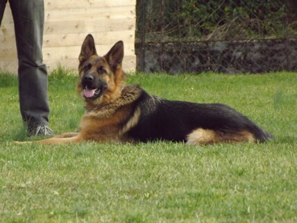 dscf1002.jpeg dscf1002.jpeg