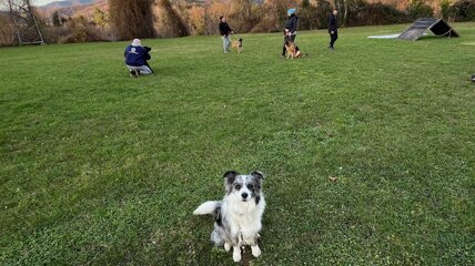 img_8937.jpeg img_8937.jpeg