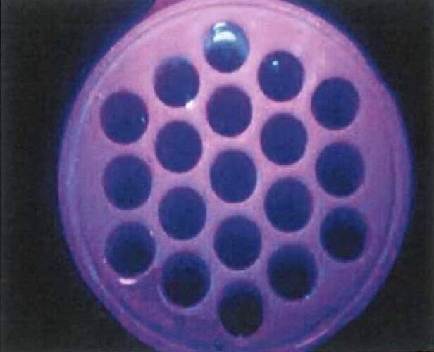 2a34473cd85ef741d43b849e8a096c299d2c6de0