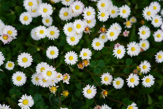 dsc05328.jpeg