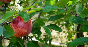 dsc05206.jpeg