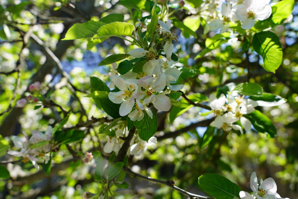 dsc05409.jpeg