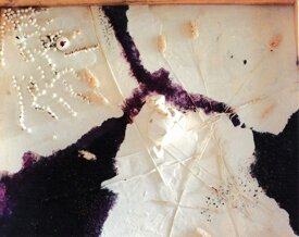 7afb83da1a7b13aa22d9ca17c57945584504bed7.jpeg 7afb83da1a7b13aa22d9ca17c57945584504bed7.jpeg