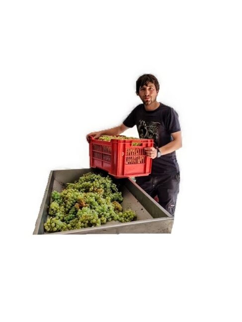 immagine whatsapp 2025-10-18 ore 18.15.08_ff4b0d03.jpeg immagine whatsapp 2025-10-18 ore 18.15.08_ff4b0d03.jpeg