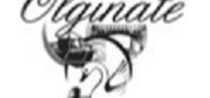 logo%20unico%20comunita'%20montana%20lario%20valle.jpeg