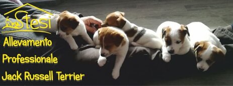 img con logo sx web.jpeg