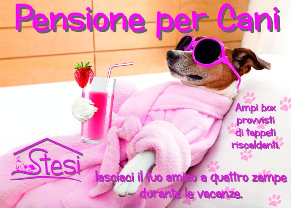Copertina Pensione per Cani