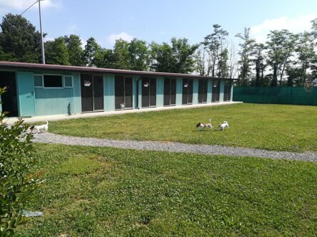 Struttura Coibentata Pensione per Cani