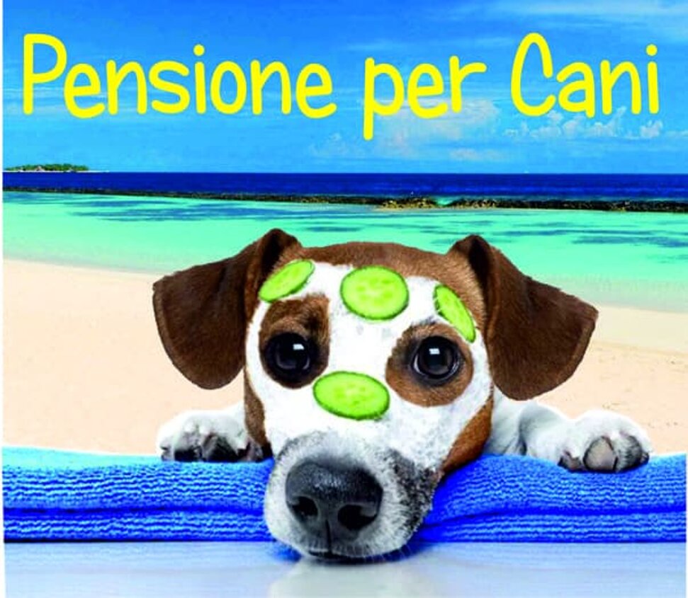 Pensione per Cani di Allevamento STESI