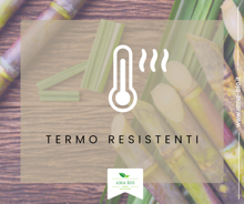 Termo resistenti