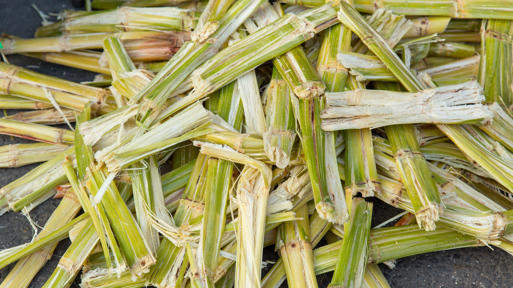 5fe875d2a6a4e2d0b2af7b2bcbdbcea3d2a584da