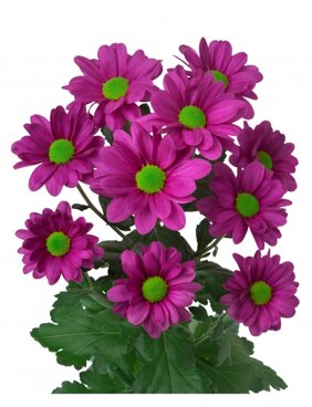 626b58a477ebaba76eb44c254997a66af3205696