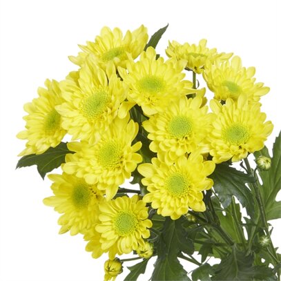 a320443360776b53d5bb1d5b0ff84a3ba64b8b33