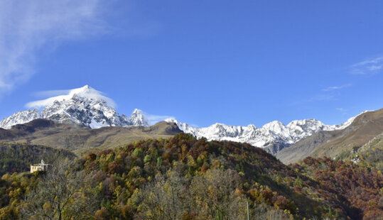 00 da usare pellando vlpo-262.jpeg