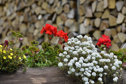 67174809e350087a9344d8e0f0ea85a120a0b010