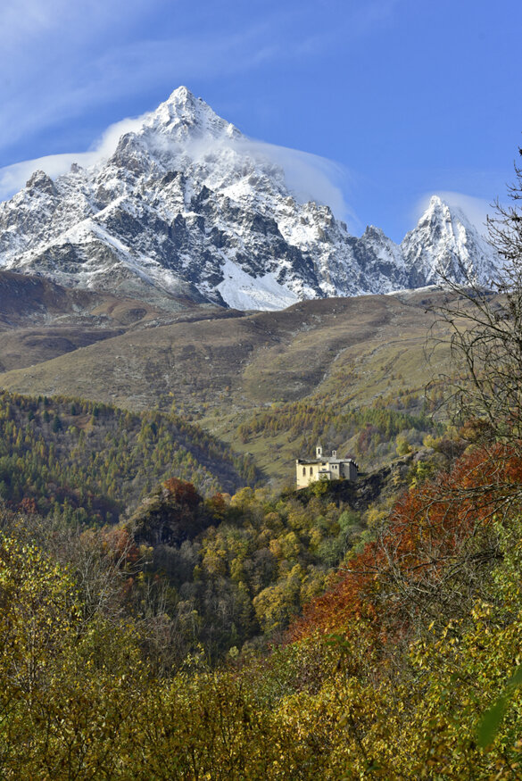 00 da usare pò vlpo-411.jpeg