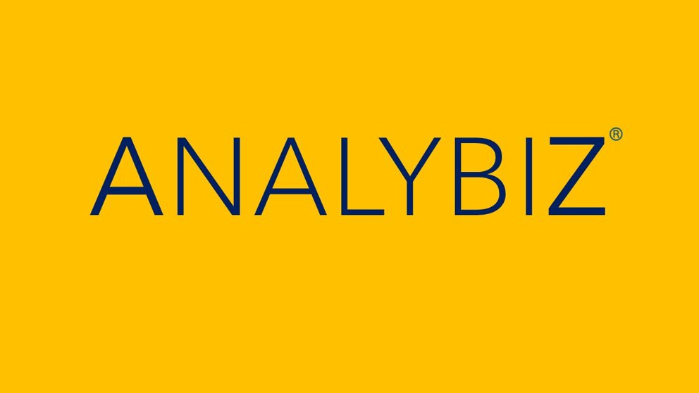 analybiz4.jpeg