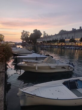 img_20260810_204415.jpeg