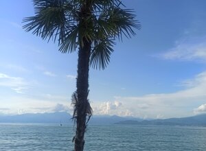 8d314123fa9133abc0e70eba4ed29b7e29485516