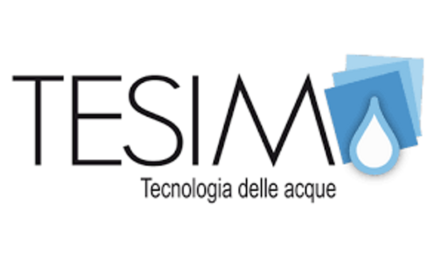 logo tesim