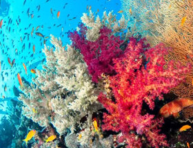 whatsapp image 2026-01-09 at 10.29.18.jpeg whatsapp image 2026-01-09 at 10.29.18.jpeg