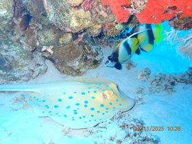 whatsapp image 2026-01-09 at 10.29.41.jpeg whatsapp image 2026-01-09 at 10.29.41.jpeg