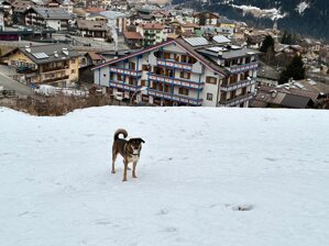 whatsapp image 2026-01-23 at 08.33.15.jpeg whatsapp image 2026-01-23 at 08.33.15.jpeg