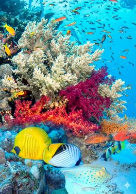 gemini_generated_image_hj4cx8hj4cx8hj4c gemini_generated_image_hj4cx8hj4cx8hj4c