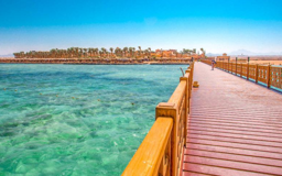 800500zadnja 800500zadnja