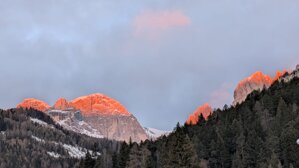 whatsapp image 2026-01-22 at 12.13.22.jpeg whatsapp image 2026-01-22 at 12.13.22.jpeg